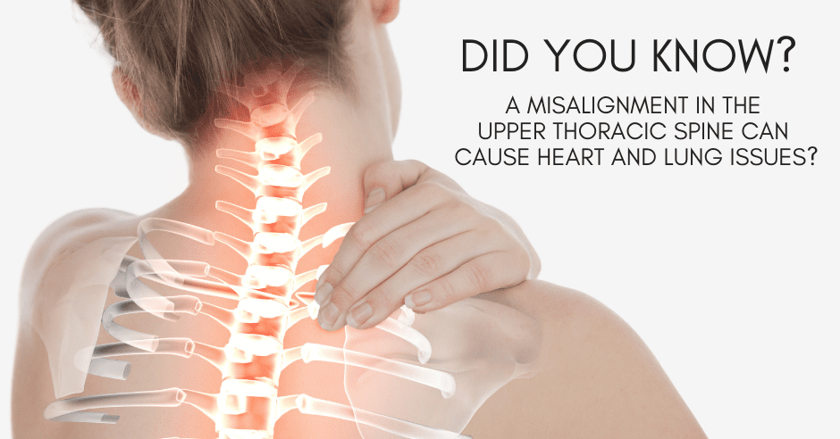 Upper Spine Lake Havasu City AZ Heart and Lungs