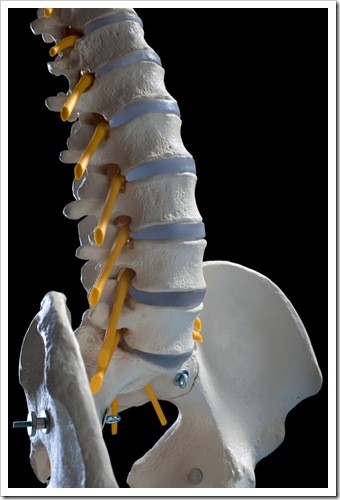 Herniated Disc and Back Pain Lake Havasu City AZ
